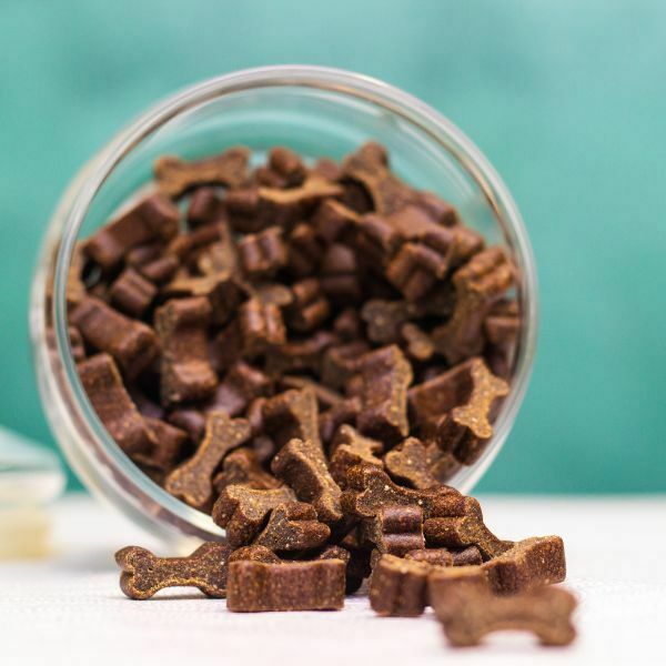 חטיפים בריאים לכלבים – כל מה שצריך לדעת