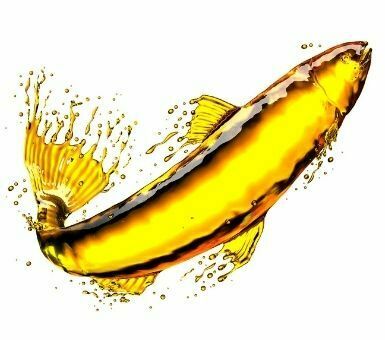 שמן סלמון לכלבים וחתולים