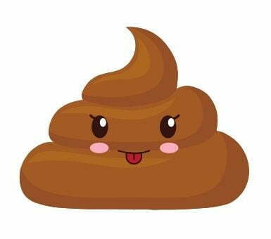 למה כלבים אוכלים קקי?