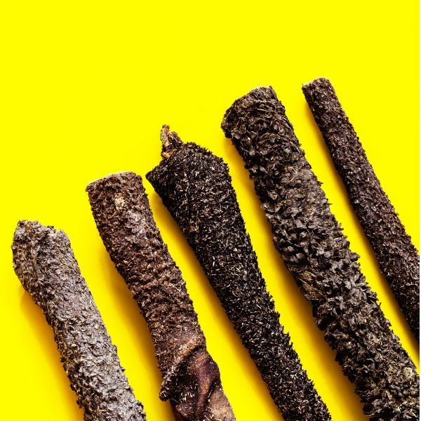 ?מה זה קירשה בחטיף לכלבים