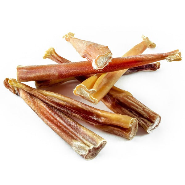 חמש יתרונות של בולי סטיק לכלב שלי