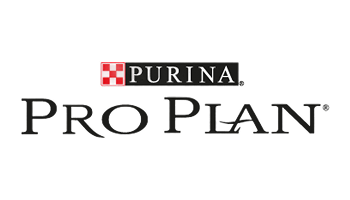 Pro Plan