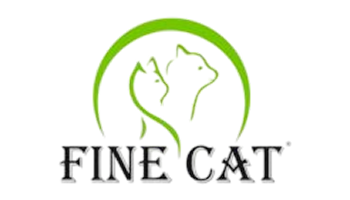 Fine cat