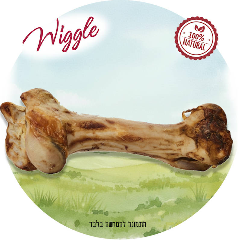 וויגל עצם באפלו גדולה - 1 יח'