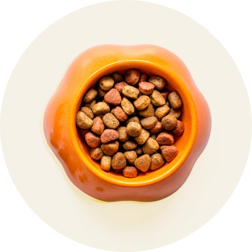 מזון יבש וטבעי