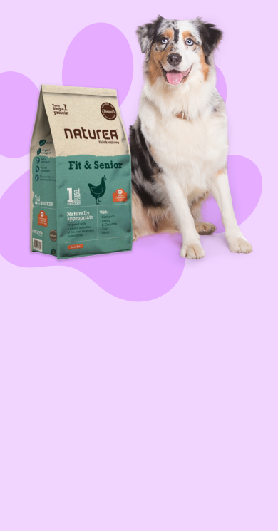 West paw - בובה עמידה במיוחד קסטר