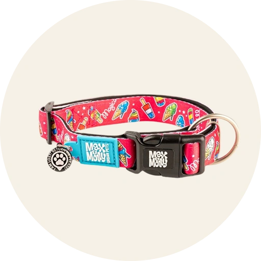 קולרים ורצועות