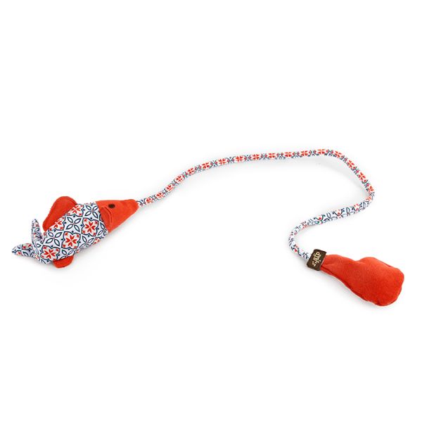 דג פופ אפ AFP