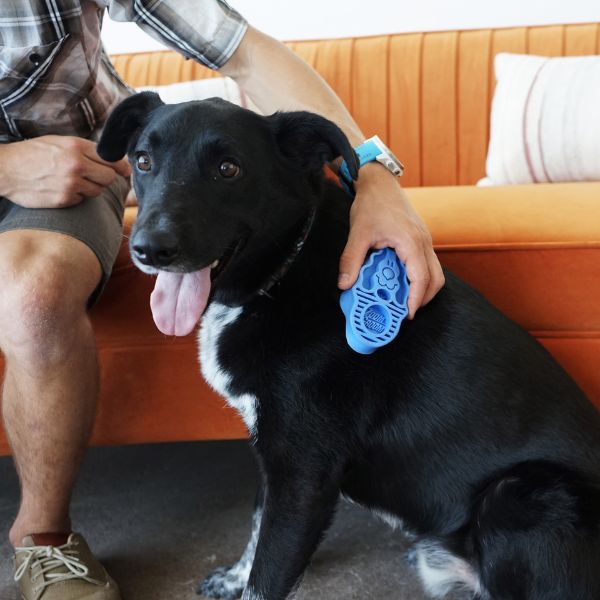 קונג זום גרום ZoomGroom מברשת קרצוף והברשה לפרווה קצרה - גדול