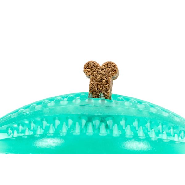 גלוריה רוגבי נשכן דנטלי איכותי מגוון צבעים 9 ס"מ