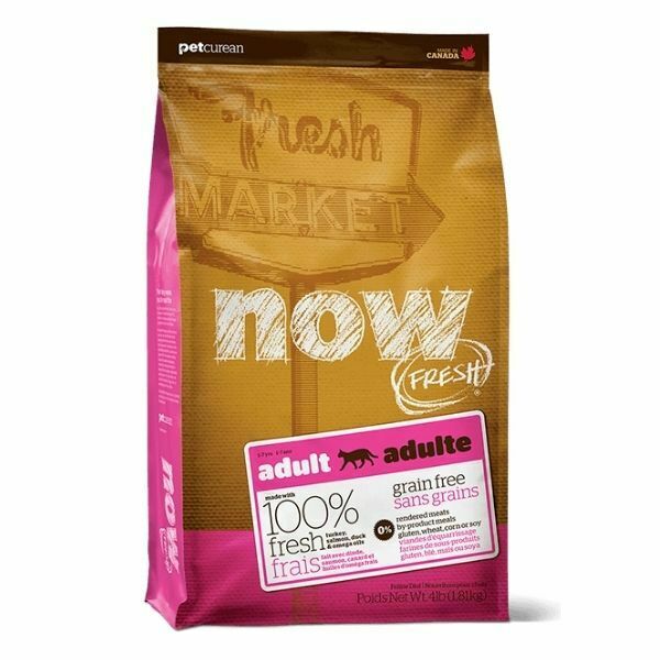 NOW – נאו מזון לחתולים בוגרים