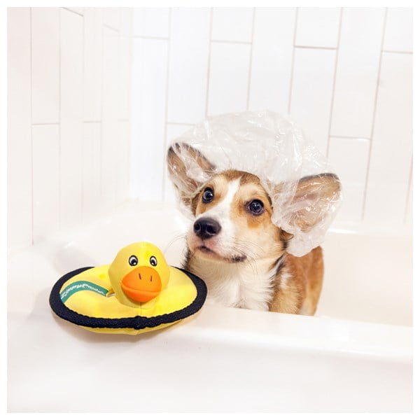 זיפי פוז צפים