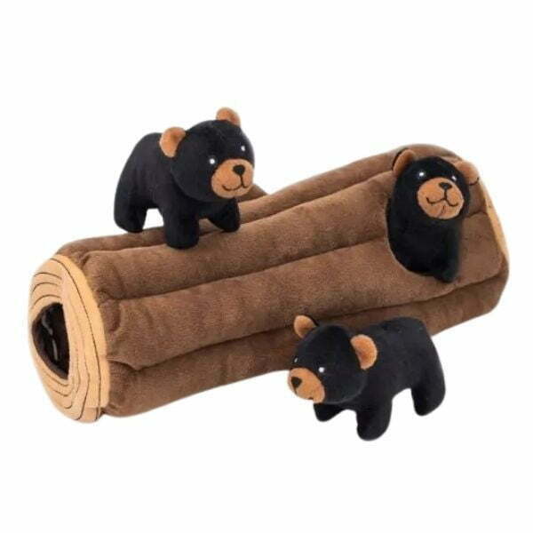 זיפי פוז מערת דובים שחורים