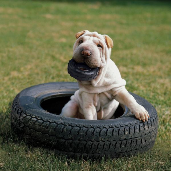 קונג צמיג Tires אקסטרים - קטן