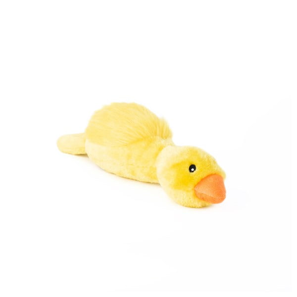 זיפי פוז זרוק ציפור