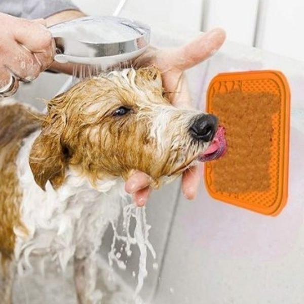 משטח ליקוק Pawise