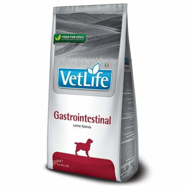 וט לייף גסטרו אינטסטינל לכלבים - 12 ק"ג
