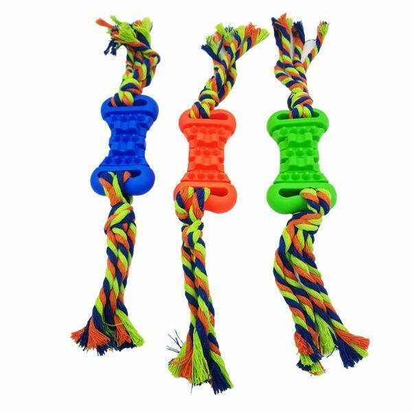 עצם גומי דנטלית עם חבל