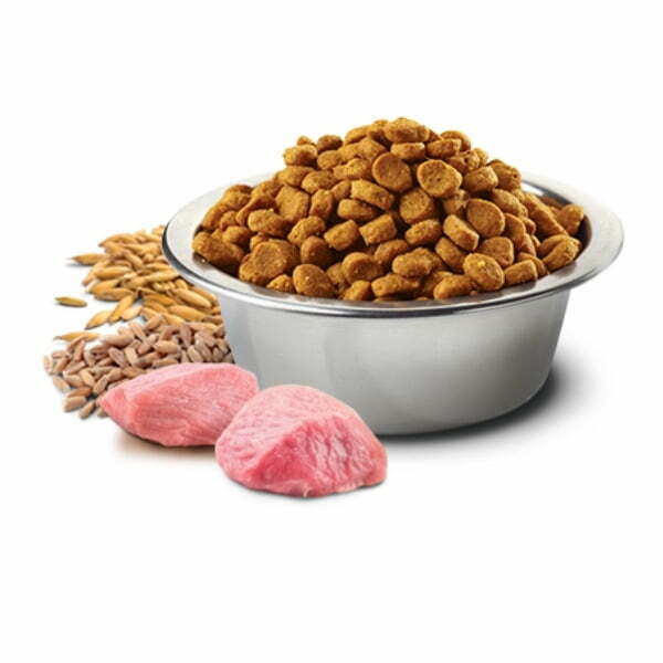 N&amp;D נטורל אנד דלישס - עוף ורימון גזע בינוני וגדול *סניור* -12 ק"ג