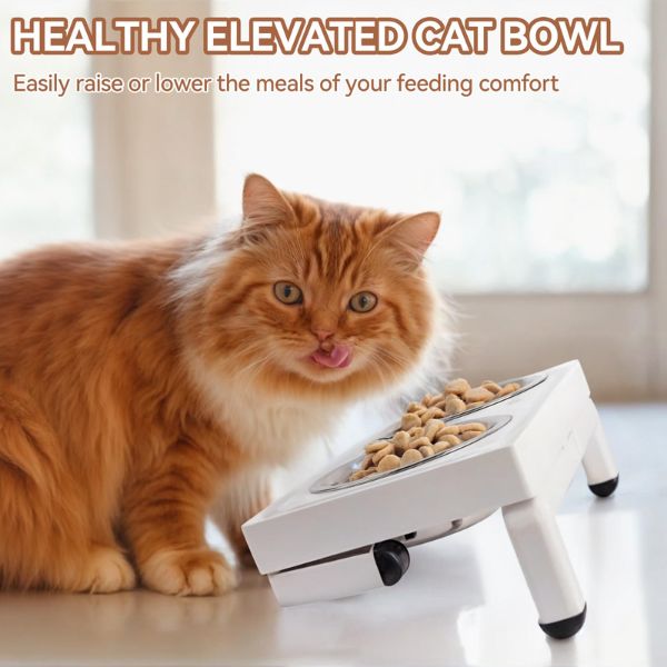 AFP קערות אוכל מודולרית מתכווננת