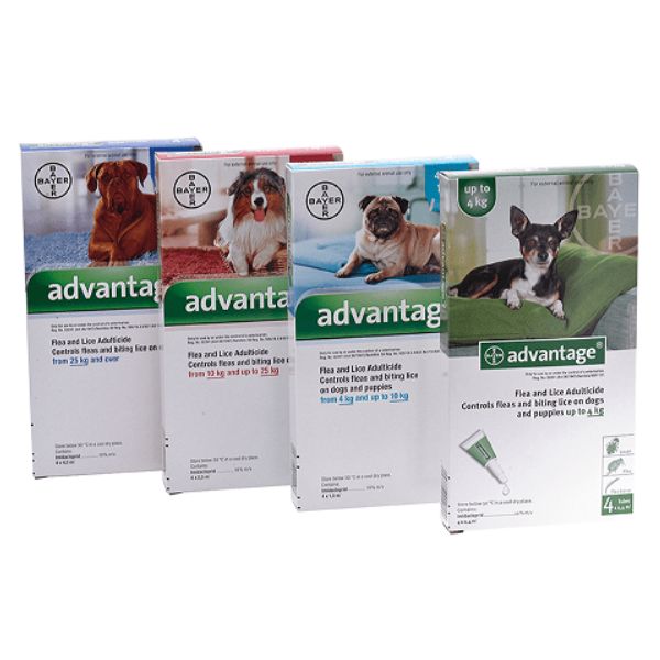 אדוונטג' אמפולה לטיפול נגד פרעושים לכלבים