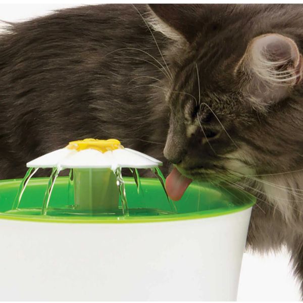 קט איט מזרקה עם פרח לחתולים 3 ליטר - Catit