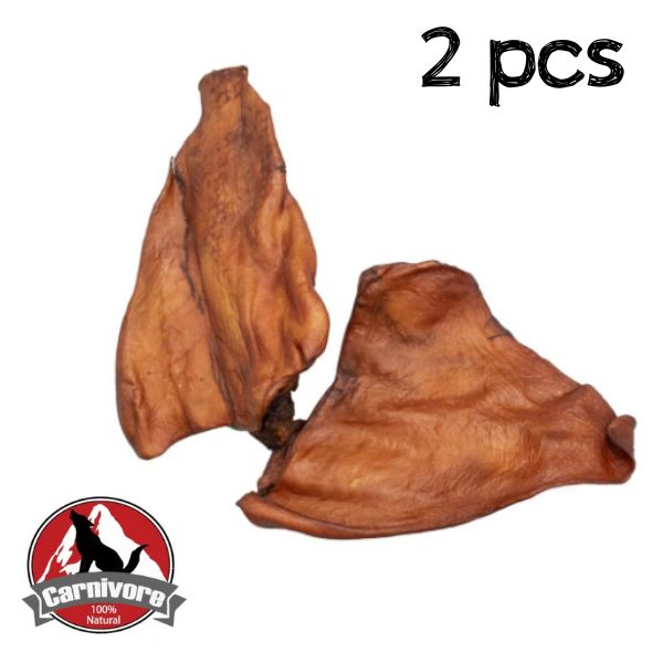 קרניבור אוזני באפולו חומות מעושנות - 2 יח'