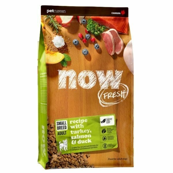 NOW - נאו מזון לכלבים בוגרים מגזע קטן - 10 ק"ג