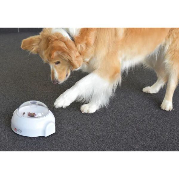 פלמינגו Flamingo משחק חטיפים קופצים