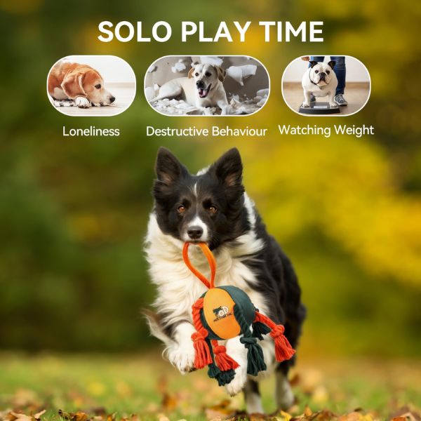 כדור בליסטיק עם ידית וחבלים AFP