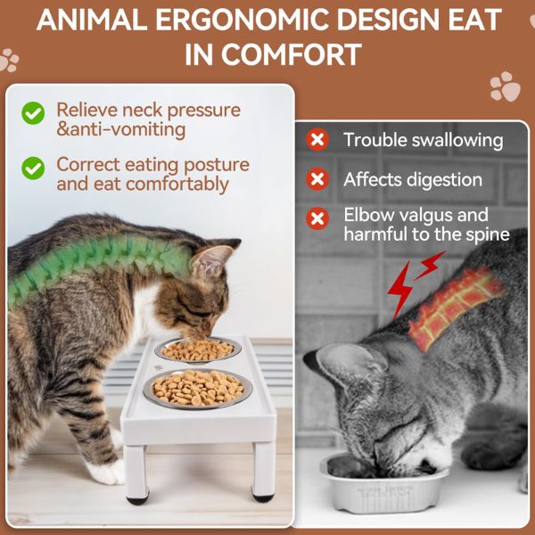 AFP קערות אוכל מודולרית מתכווננת