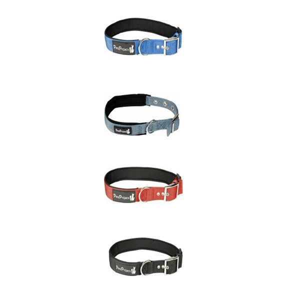 קולר מרופד לכלבים פטס פרוג'קט