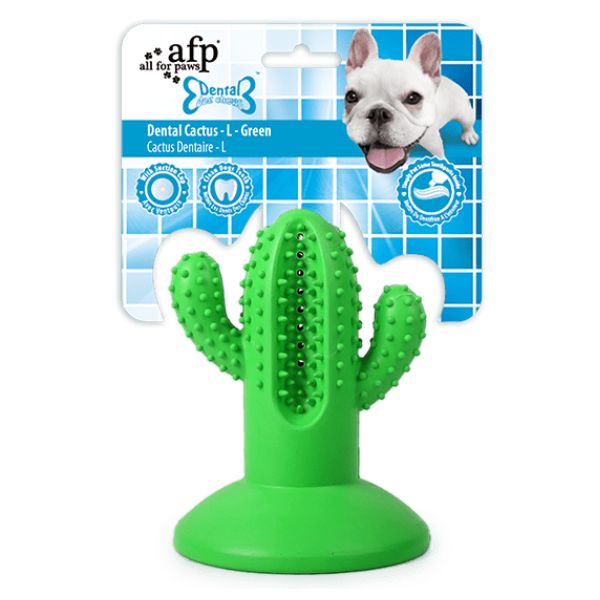 קקטוס צעצוע דנטלי AFP - גדול ירוק