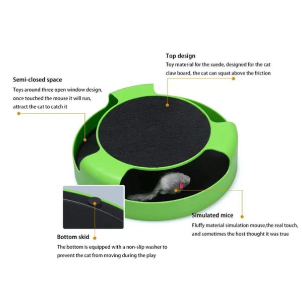 משחק מחבואים לחתולים עם מגרדה