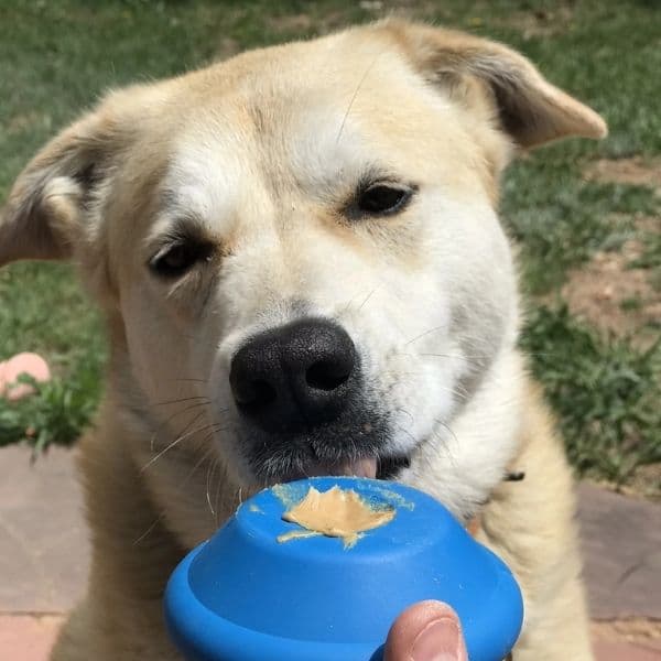 סודה פאפ חללית חטיפים