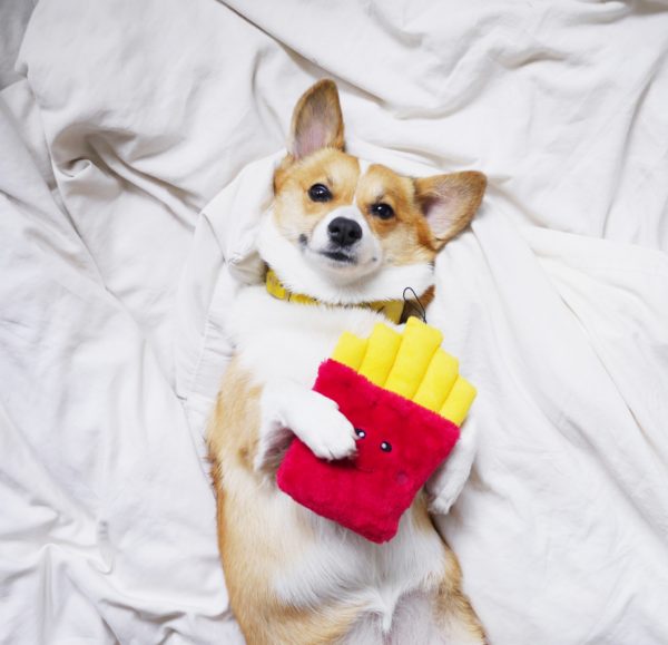 זיפי פוז צ'יפס