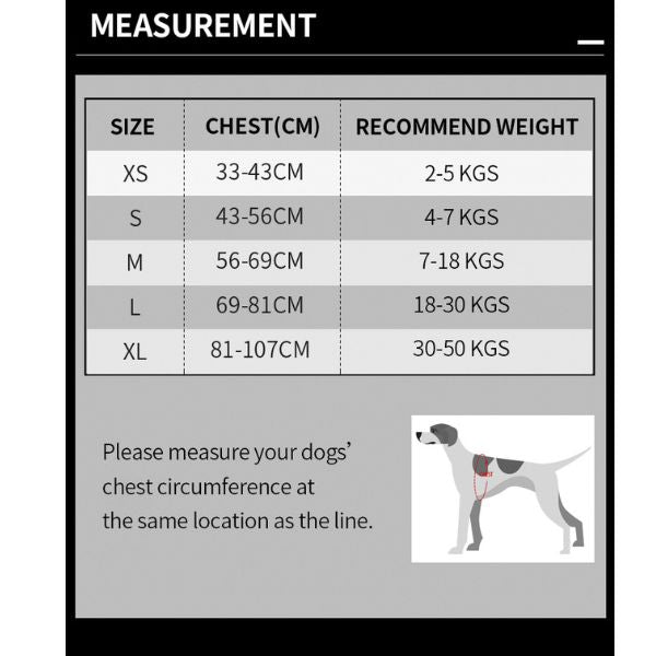 רתמה מלאה מרופדת טרו לאב True Love *דגם משופר* סגול - S