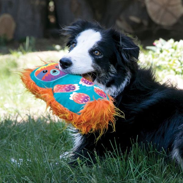 קונג Roughskinz בובה מחוזקת שעירה - דוב