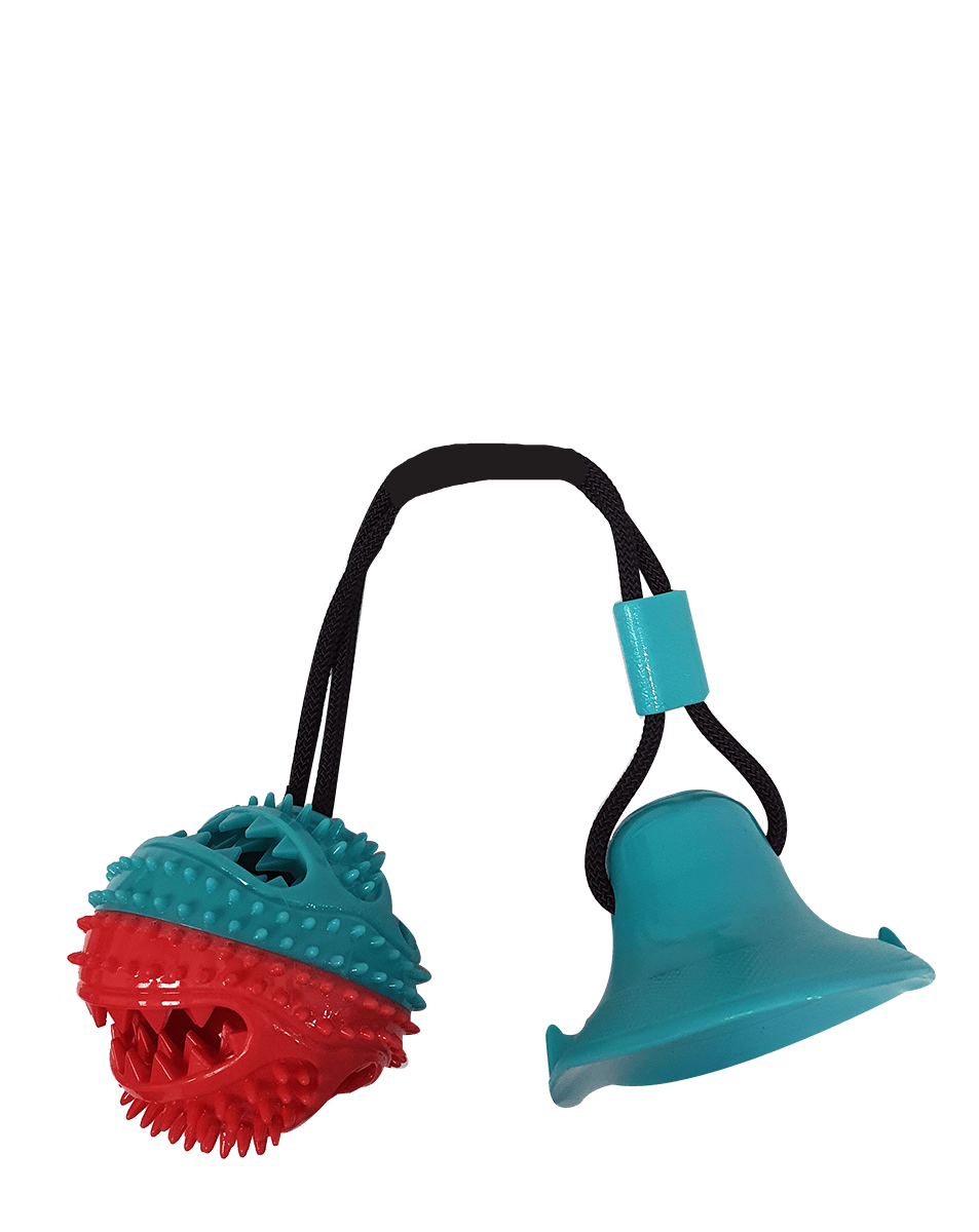 צעצוע לכלבים כדור עם ואקום לרצפה