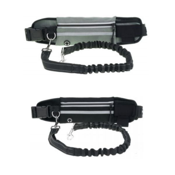 רצועת ריצה / רכיבה עם הכלב