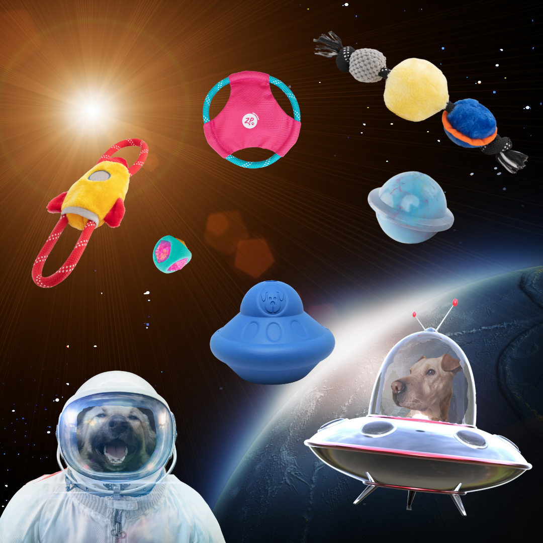 Space Kit - ערכת צעצועי חלל לכלבים