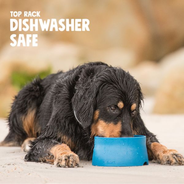 קערת האכלה אקולוגית לכלבים – West Paw Seaflex