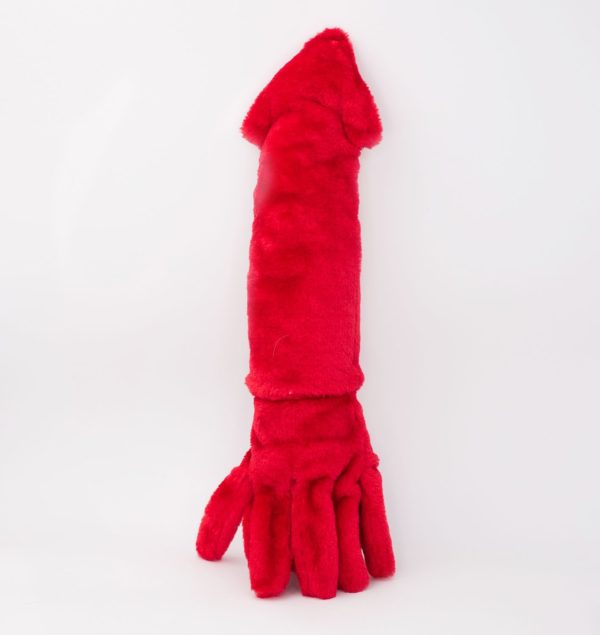 זיפי פוז ג'יגלרז דיונון ענק