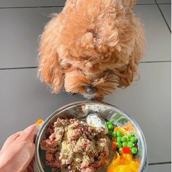 בארק Bark אבקת חלב יאק - 300 גרם