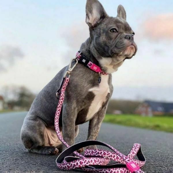 מקס אנד מולי קולר מרופד - מנומר ורוד