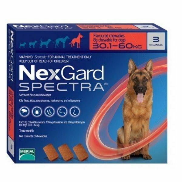 נקסגארד ספקטרה טבליות לעיסה נגד פרעושים וקרציות לכלב