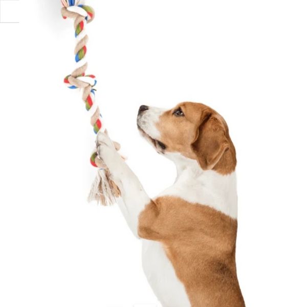 פופוס חבל לעיסה ומשיכה דנטלי שלושה קשרים FOFOS Flossy