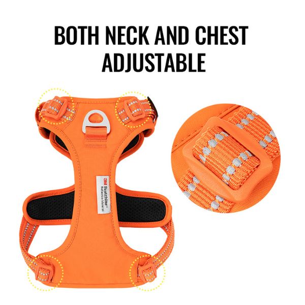 רתמה מלאה מרופדת טרו לאב True Love *דגם משופר* שחור - M