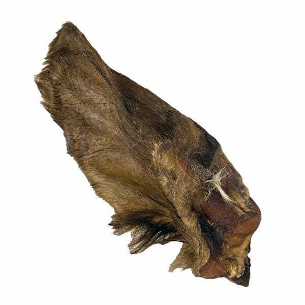 קאנל סלקט חטיף 100% טבעי – אוזן בקר ענקית עם פרווה 1 יח'