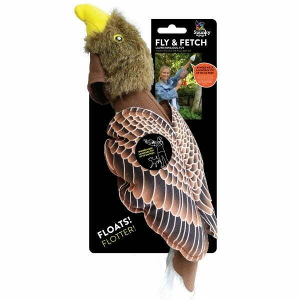 ספאנקי פאפ נשר מעופף